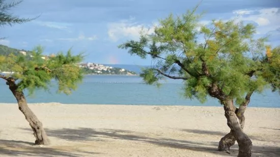 Apartmán Střední Dalmácie - Omiš DA 2701 N2