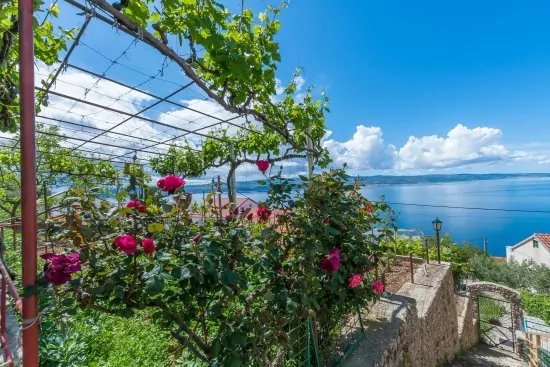 Apartmán Střední Dalmácie - Omiš DA 2701 N3