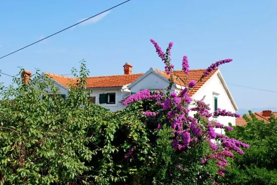 Apartmán Ostrov Brač - Supetar OS 2300 N1