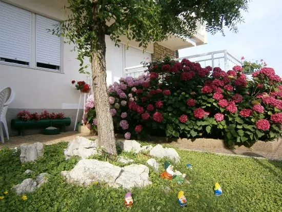 Apartmán Severní Dalmácie - Brodarica DA 3902 N1