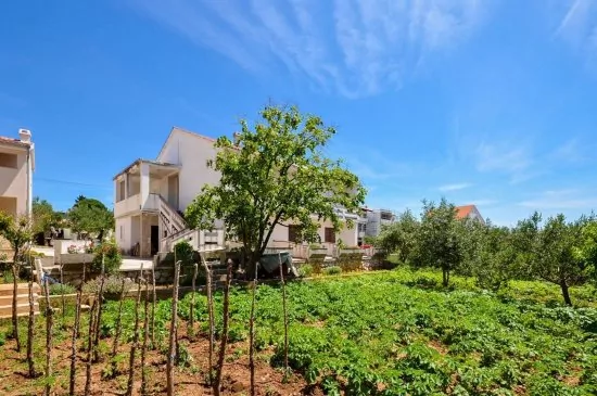 Apartmán Ostrov Pag - Novalja OS 6502 N1