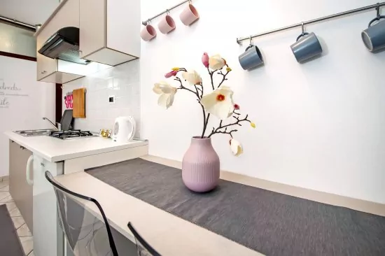 Apartmán Istrie - Rovinj IS 3001 N1