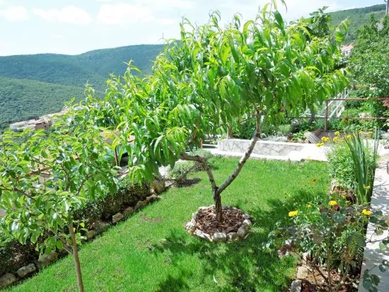 Apartmán Istrie - Rabac IS 1001 N1