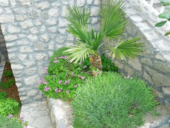 Apartmán Istrie - Rabac IS 1001 N2