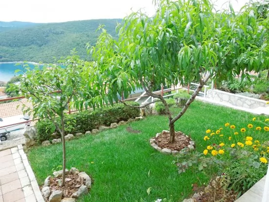 Apartmán Istrie - Rabac IS 1001 N3