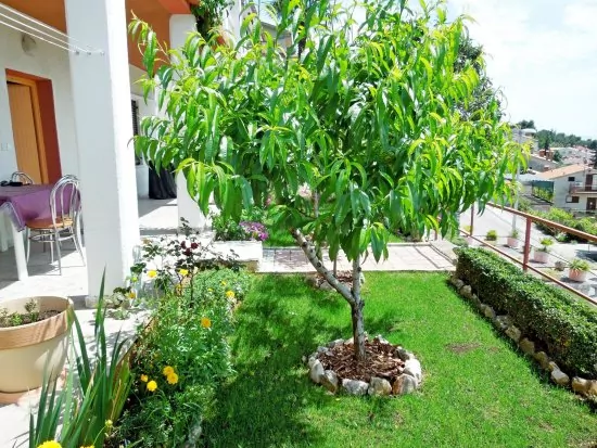 Apartmán Istrie - Rabac IS 1001 N3