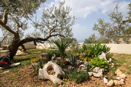 Vila s bazénem Střední Dalmácie - Makarska DA 2002 N1