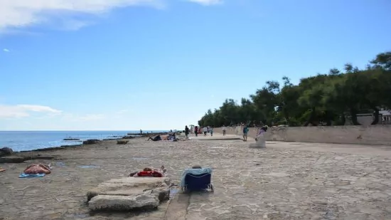 Apartmán Istrie - Novigrad IS 3501 N1