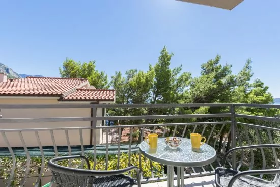 Apartmán Střední Dalmácie - Brela DA 2203 N2