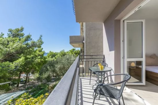 Apartmán Střední Dalmácie - Brela DA 2203 N2