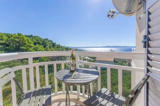 Apartmán Střední Dalmácie - Tučepi DA 1901 N5