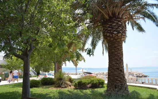 Apartmán Střední Dalmácie - Tučepi DA 1901 N5