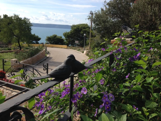 Apartmán Střední Dalmácie - Igrane DA 1802 N1