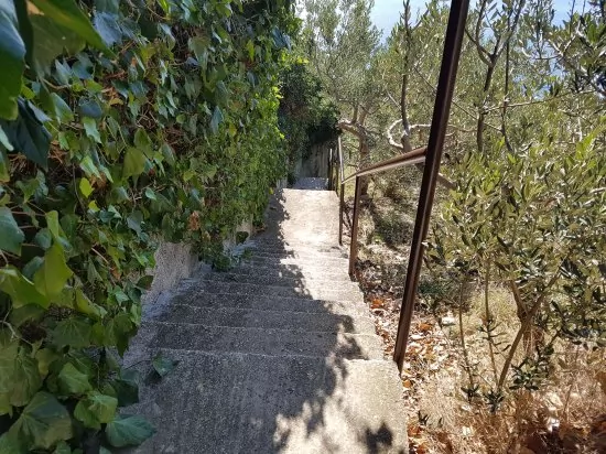 Apartmán Střední Dalmácie - Staniči DA 2601 N4