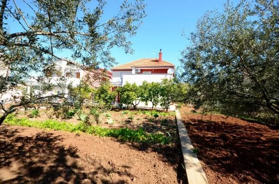 Apartmán Severní Dalmácie - Biograd na Moru DA 4701 N1