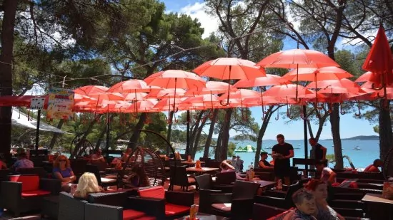 Apartmán Severní Dalmácie - Biograd na Moru DA 4701 N1