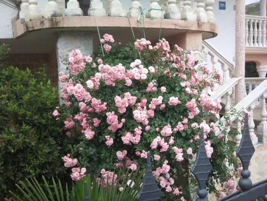 Apartmán Severní Dalmácie - Grebaštica DA 3703 N2