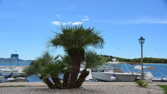 Apartmán Severní Dalmácie - Pakoštane DA 4601 N2