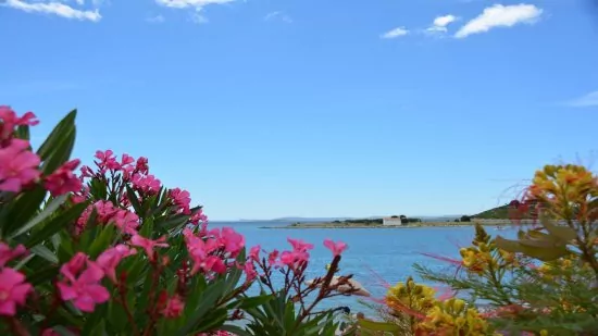 Apartmán Severní Dalmácie - Pakoštane DA 4601 N5