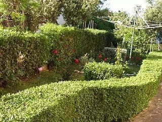 Apartmán Severní Dalmácie - Brodarica DA 3903 N1