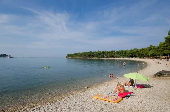 Apartmán Istrie - Novigrad IS 3502 N1