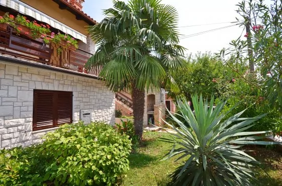Apartmán Istrie - Novigrad IS 3502 N3