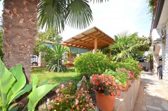 Apartmán Istrie - Novigrad IS 3502 N3