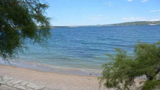 Apartmán Istrie - Novigrad IS 3502 N3