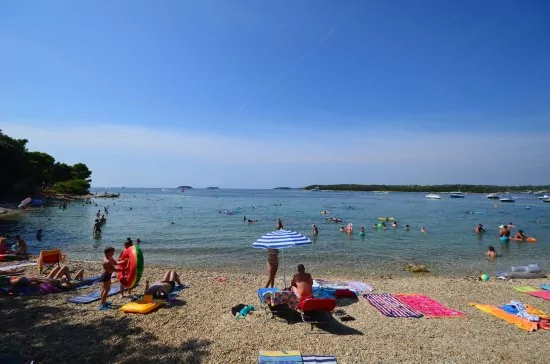 Apartmán Istrie - Vrsar IS 3101 N1