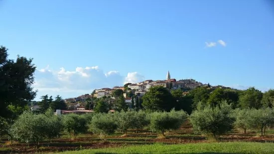 Apartmán Istrie - Vrsar IS 3101 N1