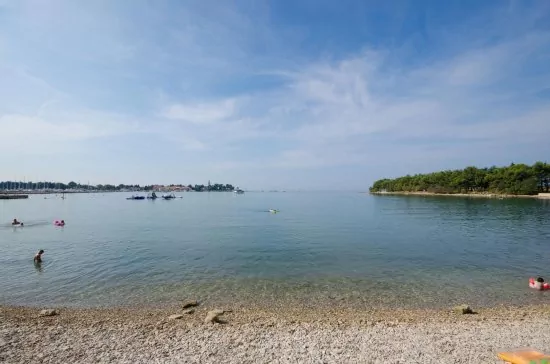 Apartmán Istrie - Novigrad IS 3503 N1