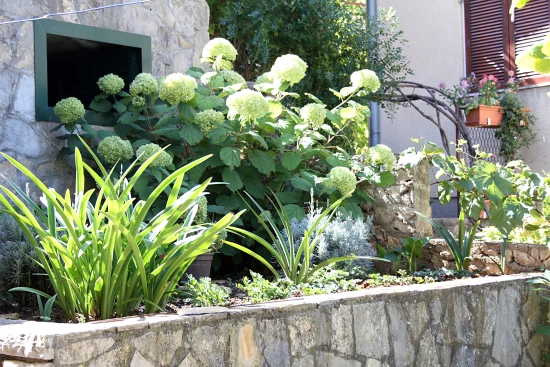 Apartmán Severní Dalmácie - Žaboric DA 3801 N1