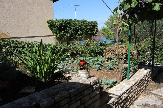 Apartmán Severní Dalmácie - Žaboric DA 3801 N1