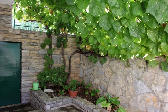 Apartmán Severní Dalmácie - Žaboric DA 3801 N1