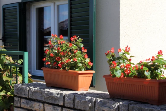 Apartmán Severní Dalmácie - Žaboric DA 3801 N1