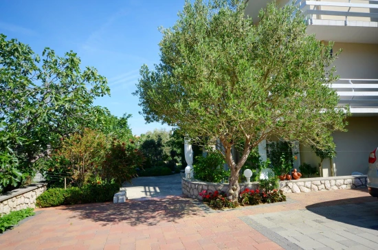 Apartmán Ostrov Pag - Novalja OS 6503 N1