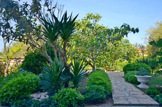 Apartmán Ostrov Pag - Novalja OS 6503 N1