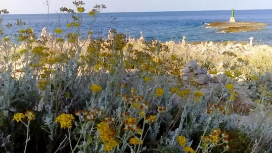 Moře a pláž pouze 70 m od objektu.