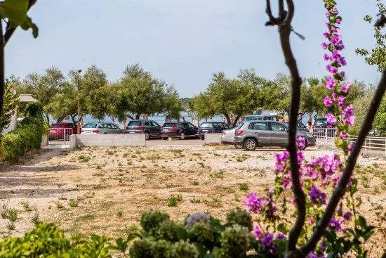 Apartmán Severní Dalmácie - Srima (Vodice) DA 4102 N2
