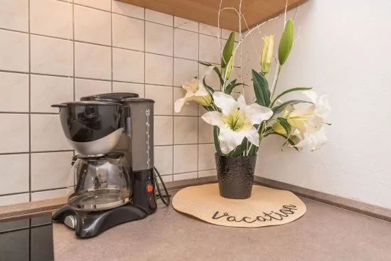 Apartmán Severní Dalmácie - Sukošan DA 4903 N1