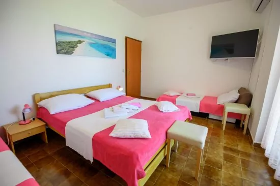 Apartmán Severní Dalmácie - Privlaka DA 5301 N1