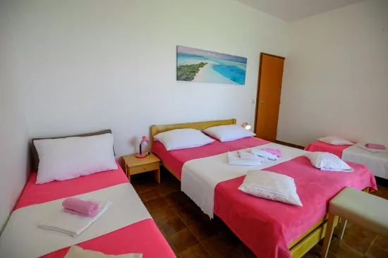 Apartmán Severní Dalmácie - Privlaka DA 5301 N1