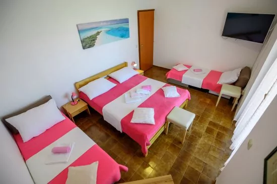 Apartmán Severní Dalmácie - Privlaka DA 5301 N1