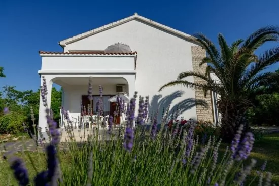 Apartmán Severní Dalmácie - Privlaka DA 5301 N1