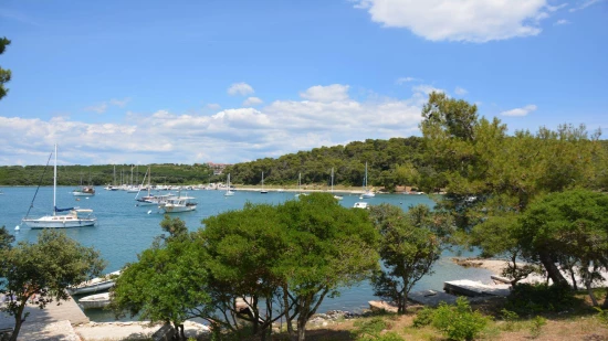 Apartmán Istrie - Banjole IS 1802 N1