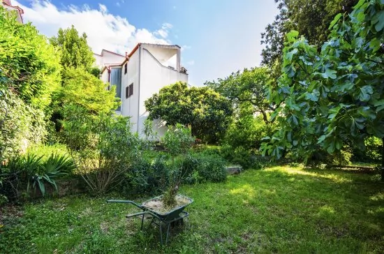 Apartmán Istrie - Banjole IS 1802 N2