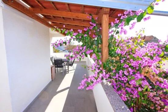 Apartmán Severní Dalmácie - Nin DA 5205 N3