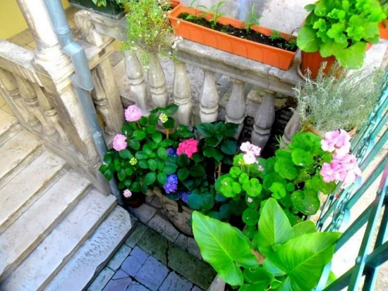 Apartmán Severní Dalmácie - Šibenik DA 4001 N1