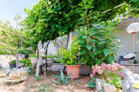 Apartmán Kvarner - Crikvenica KV 2007 N1