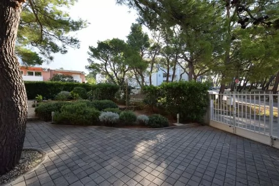 Apartmán Střední Dalmácie - Baška Voda DA 2103 N3